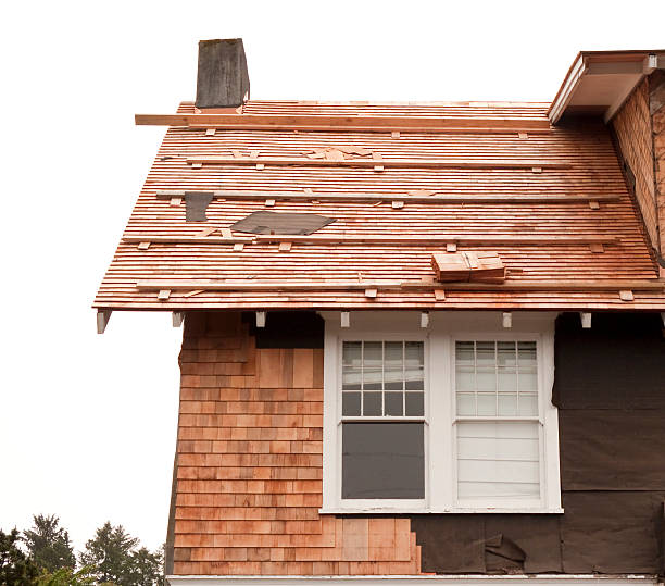 Historical Building Siding Restoration in Warson Woods, MO